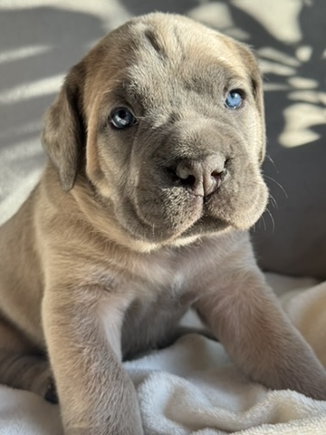 LUNA